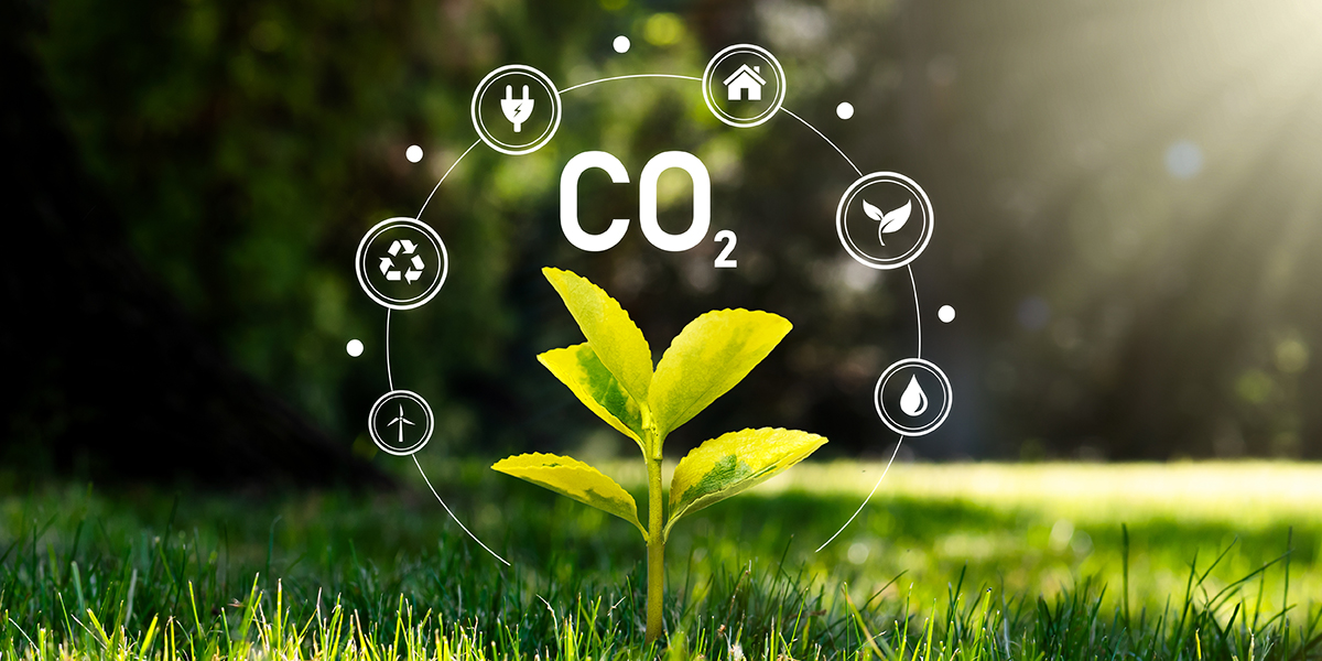 What Carbon Emissions Are and Why They Should Be Reduced