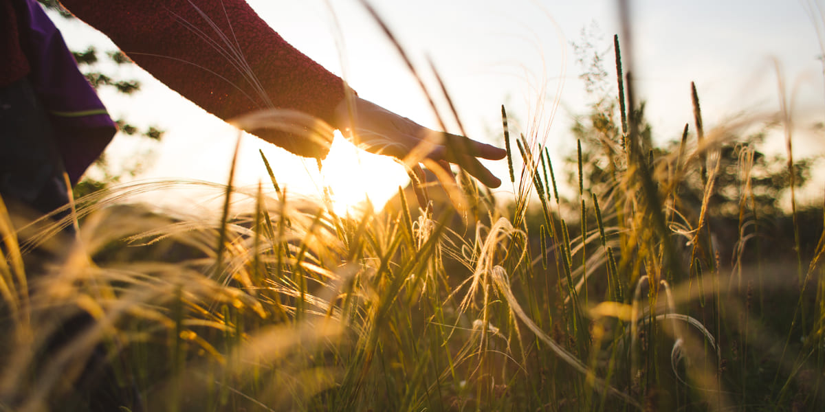 You Need To Be Able To Enjoy Every Moment and Get Energy From Nature