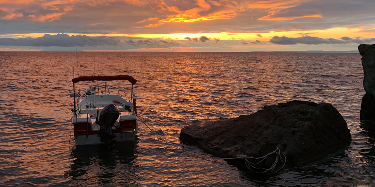 Miracles of the Sea and the Unique Rhythm of Fishing... Good Luck