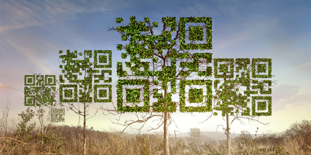 Sürdürülebilirlikte Yenilik: Yeşil Teknolojiler ve Çevresel İnovasyon